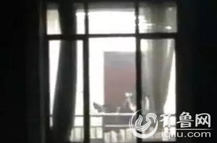 亚洲成人天堂久久的相关介绍