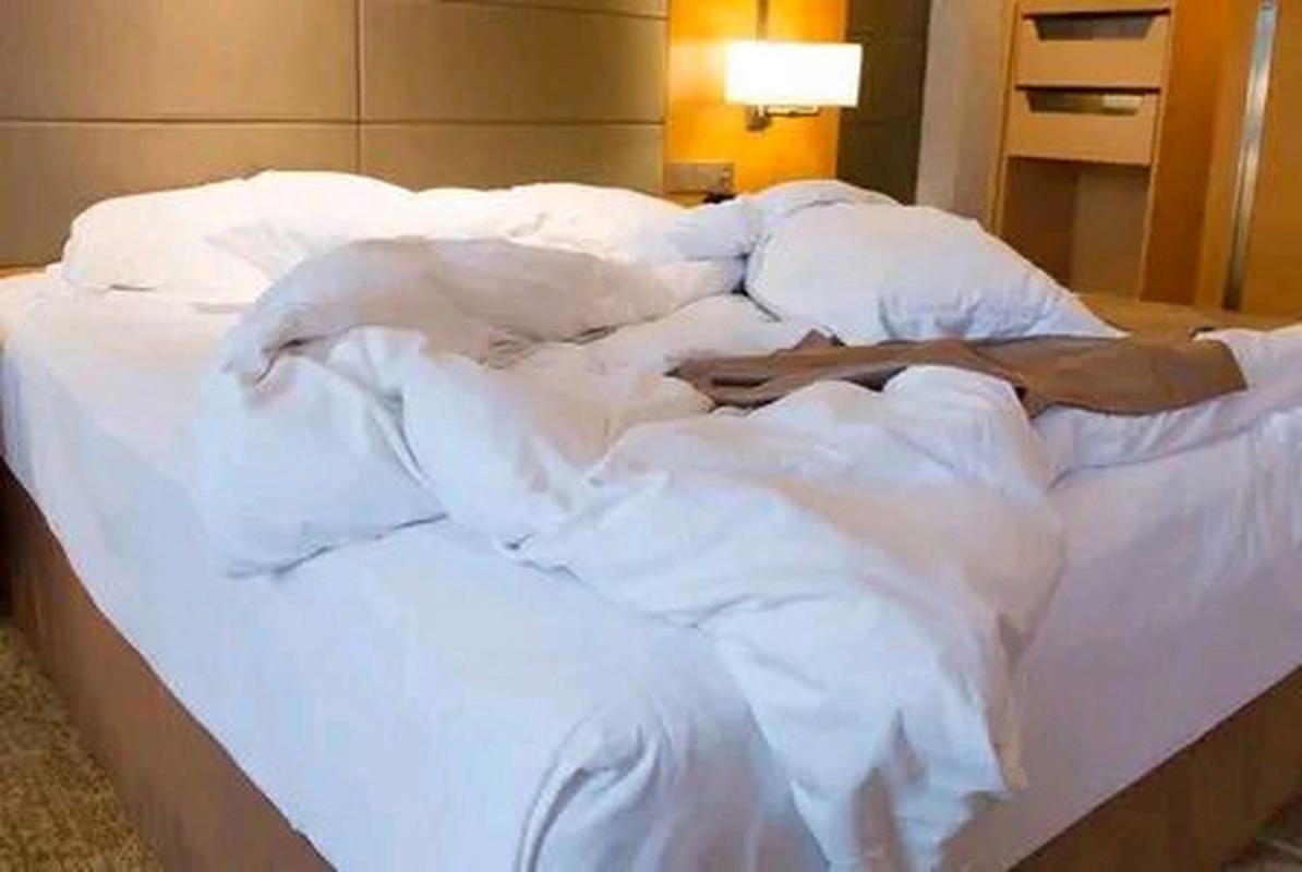 看看av丰满熟妇的相关介绍