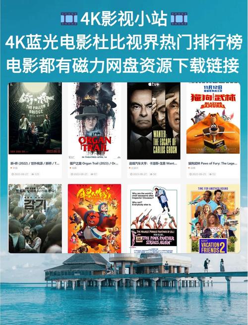 老湿影院费x看一分钟的相关介绍