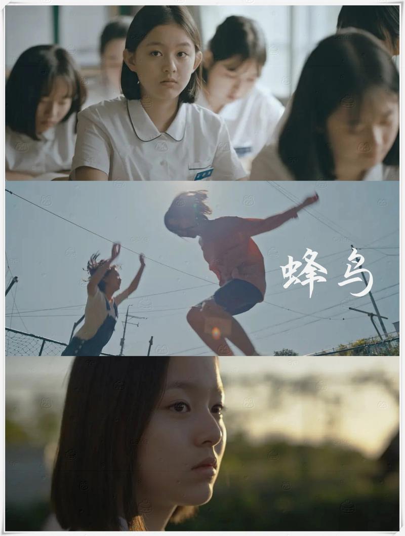 熟女邻居小说的相关介绍