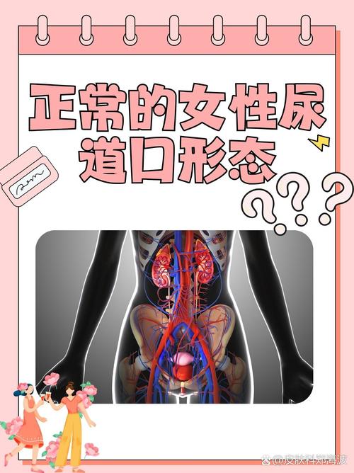 找操影院的相关介绍