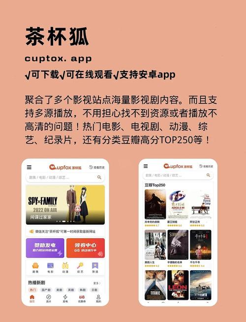 成人影院网址的相关介绍